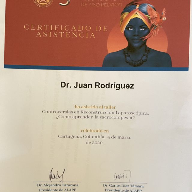 Acercar imagen: certificate 6