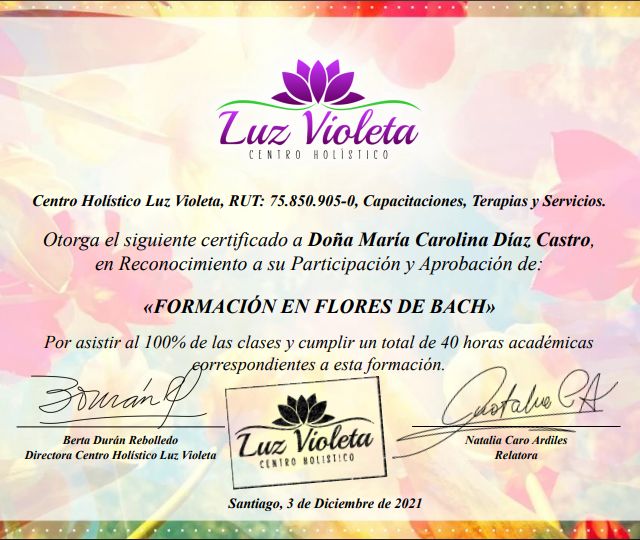 Acercar imagen: certificate 21