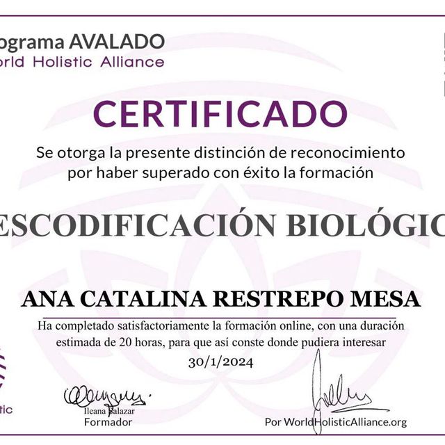 Acercar imagen: certificate 3