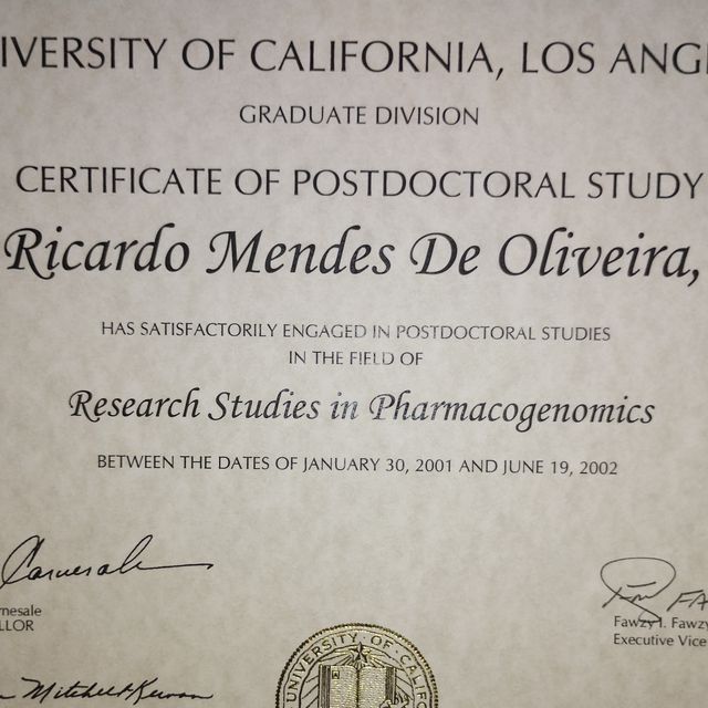 Ampliar imagem: certificate 3