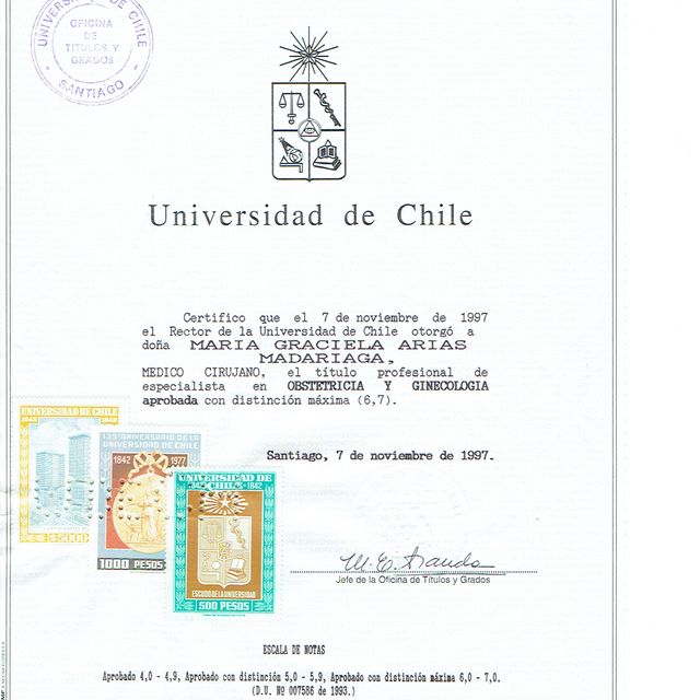 Acercar imagen: certificate 2