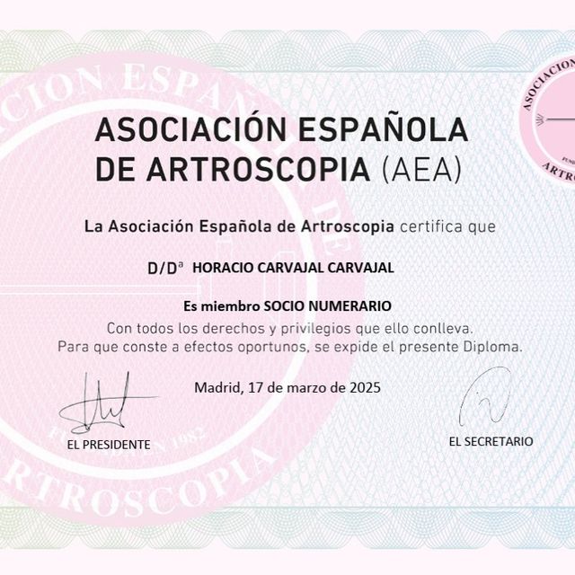 Acercar imagen: certificate 6