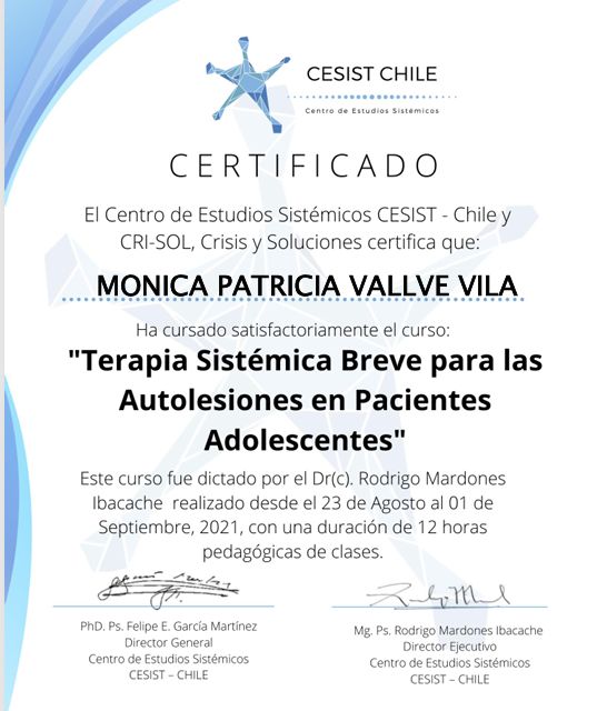 Acercar imagen: certificate 23
