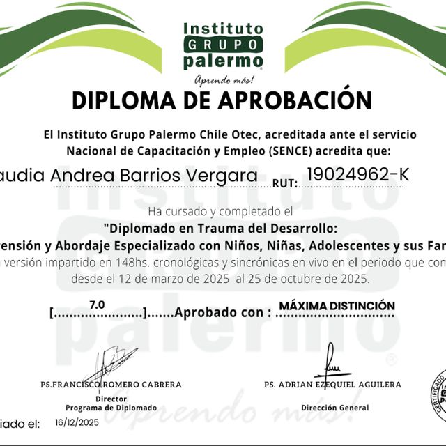 Acercar imagen: certificate 5