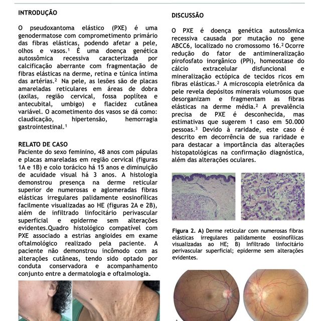 Ampliar imagem: certificate 15