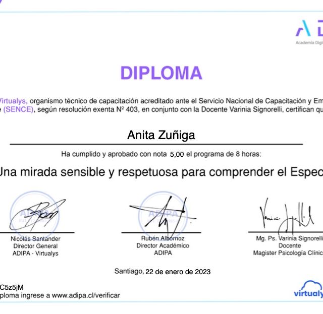 Acercar imagen: certificate 7