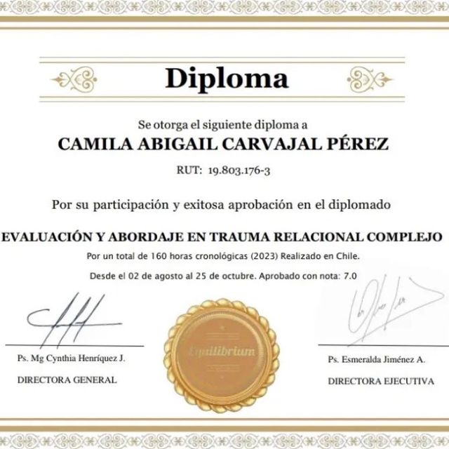 Acercar imagen: certificate 14