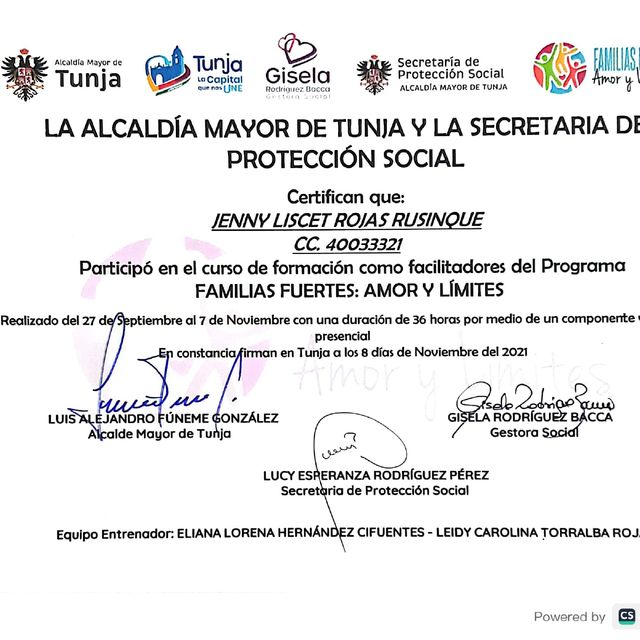 Acercar imagen: certificate 2