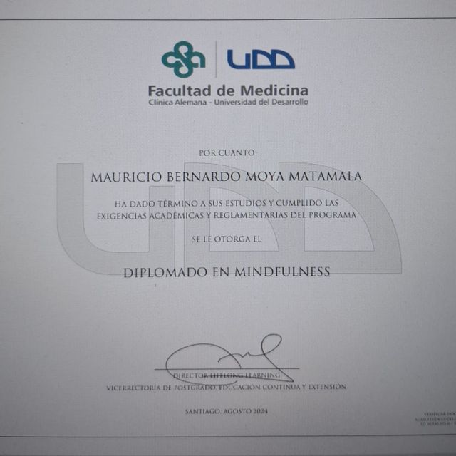 Acercar imagen: certificate 8