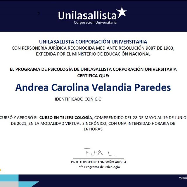 Acercar imagen: certificate 4