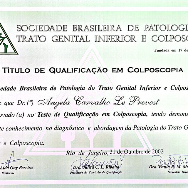 Ampliar imagem: certificate 6