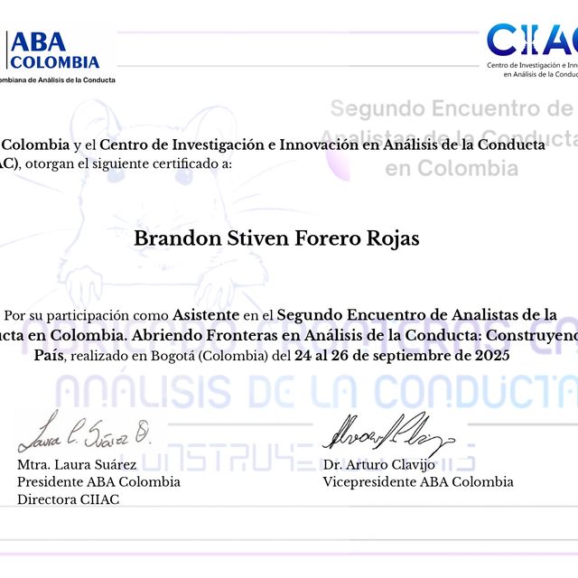 Acercar imagen: certificate 4