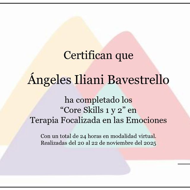 Acercar imagen: certificate 7