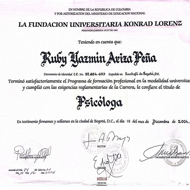 Acercar imagen: certificate 2