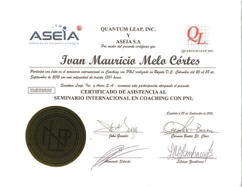 Acercar imagen: certificate 9