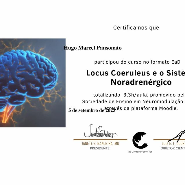 Ampliar imagem: certificate 10