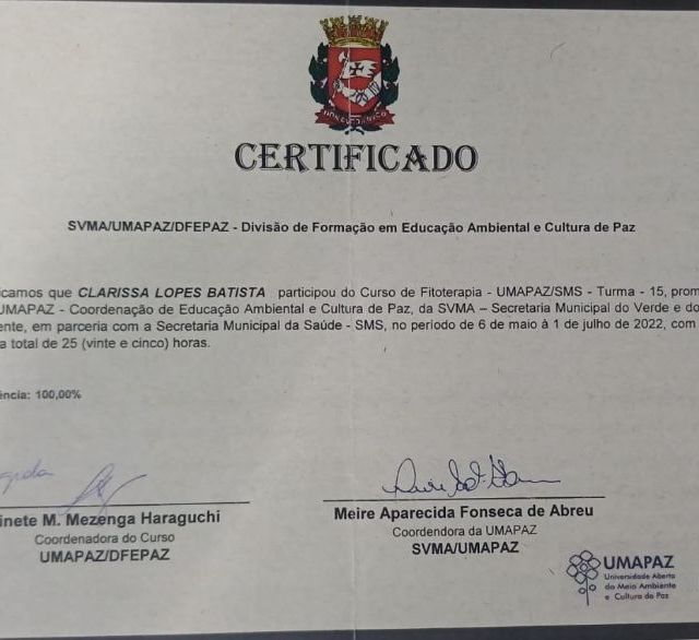 Ampliar imagem: certificate 6
