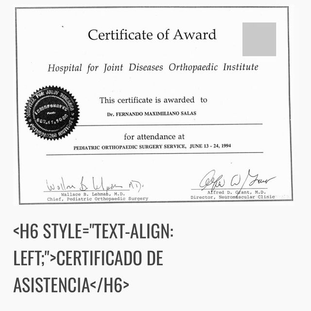 Acercar imagen: certificate 5