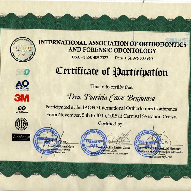 Acercar imagen: certificate 12