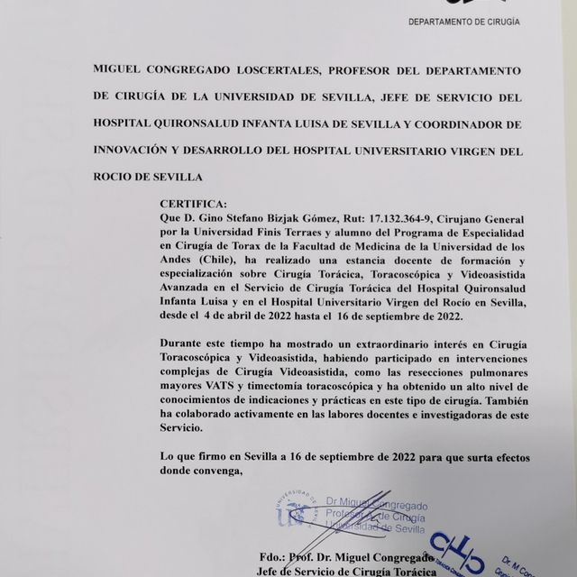 Acercar imagen: certificate 3