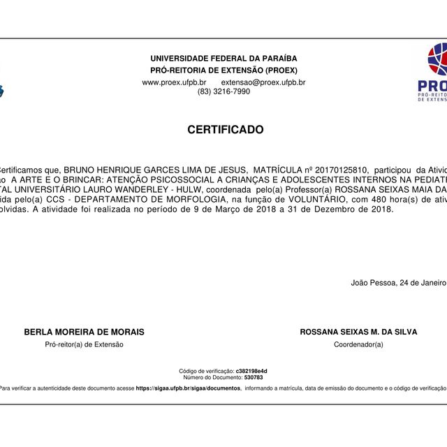 Ampliar imagem: certificate 13