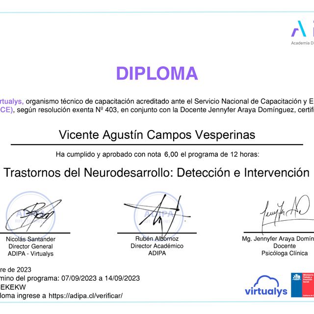 Acercar imagen: certificate 26