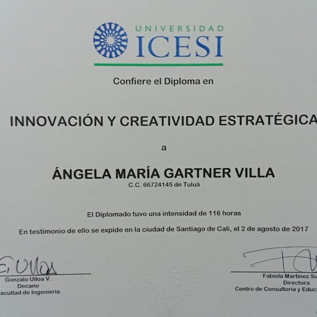Acercar imagen: certificate 5