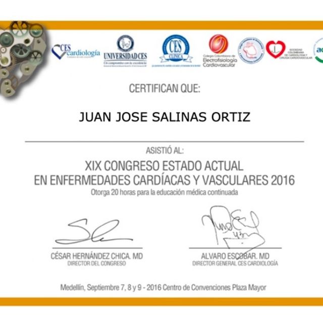 Acercar imagen: certificate 19