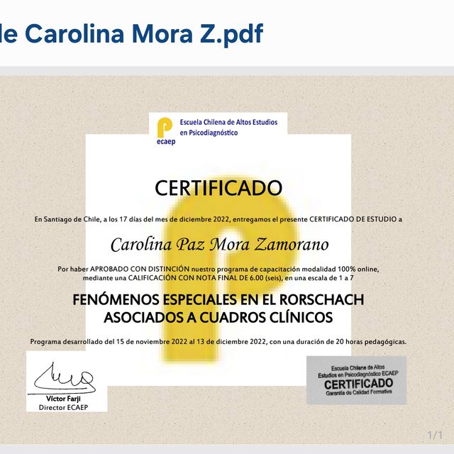 Acercar imagen: certificate 7