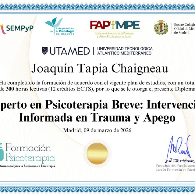 Acercar imagen: certificate 2