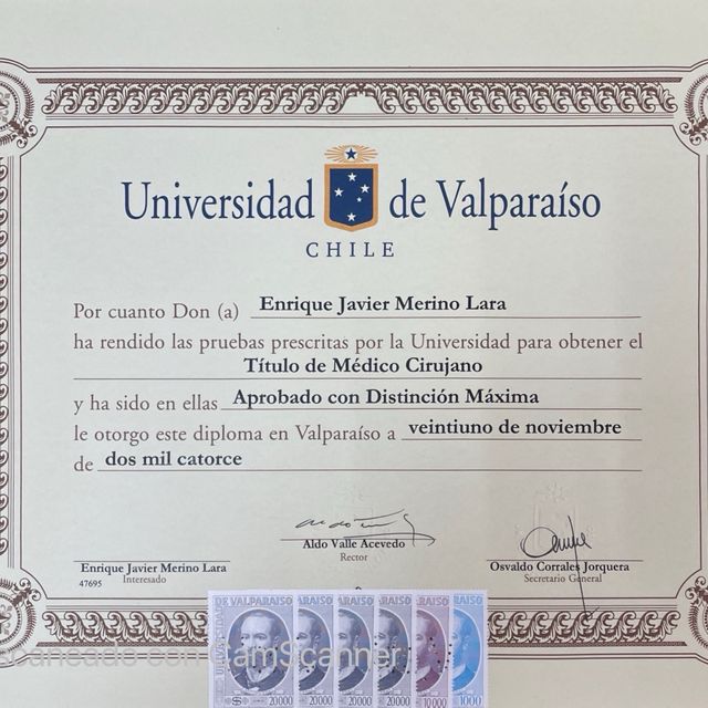 Acercar imagen: certificate 1