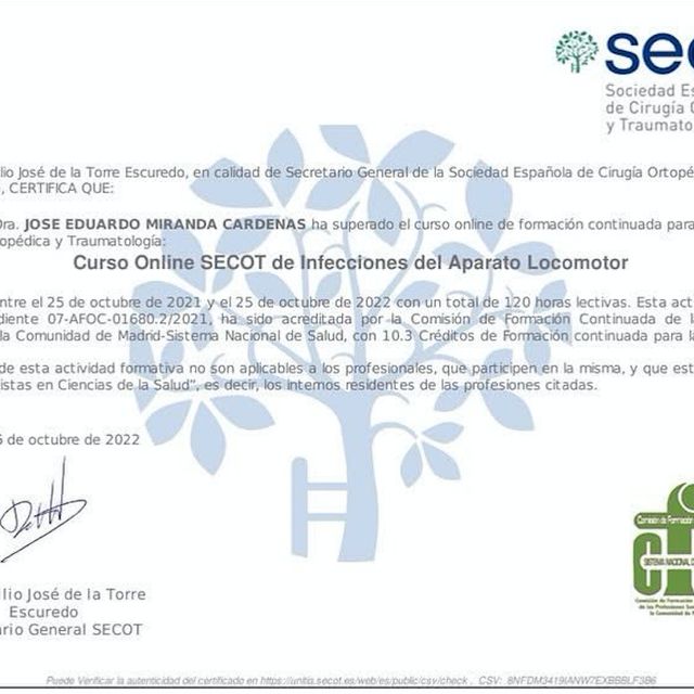 Acercar imagen: certificate 5