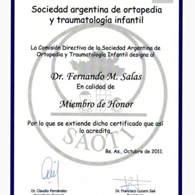 Acercar imagen: certificate 19