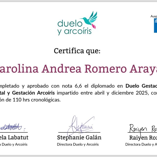 Acercar imagen: certificate 3