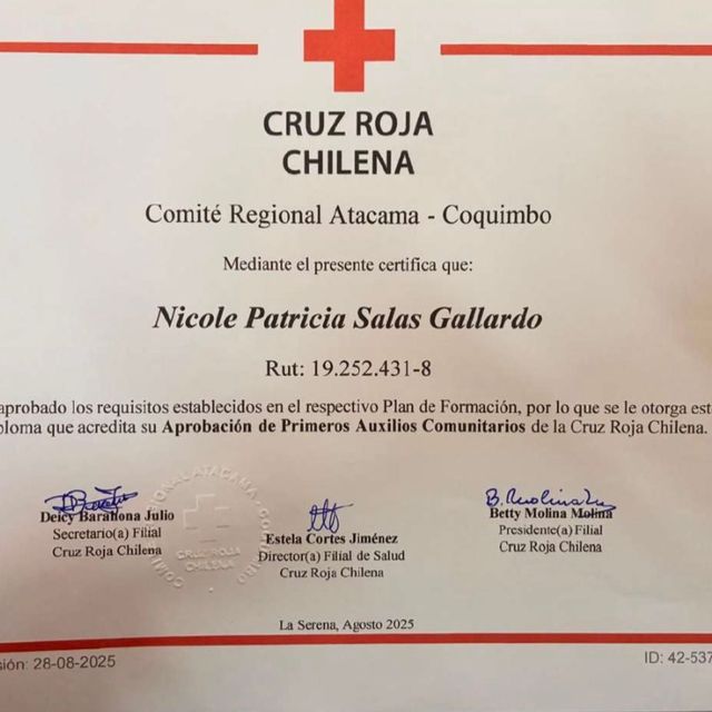 Acercar imagen: certificate 13