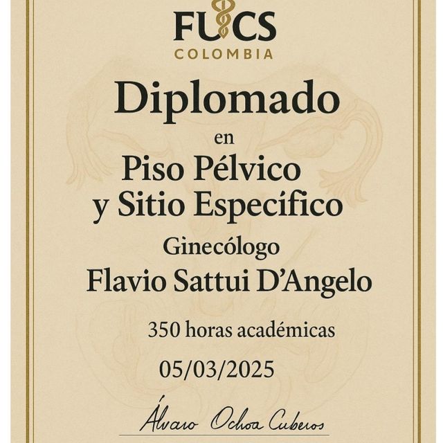 Acercar imagen: certificate 9