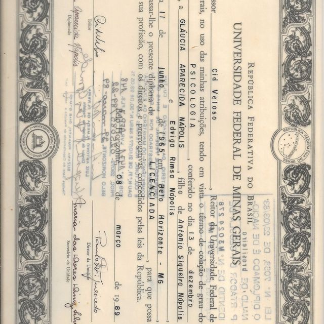 Ampliar imagem: certificate 3