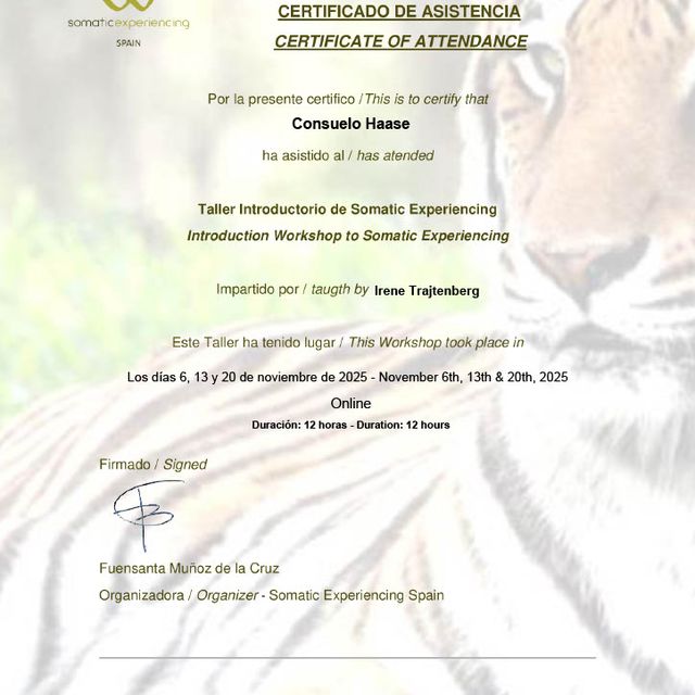 Acercar imagen: certificate 3