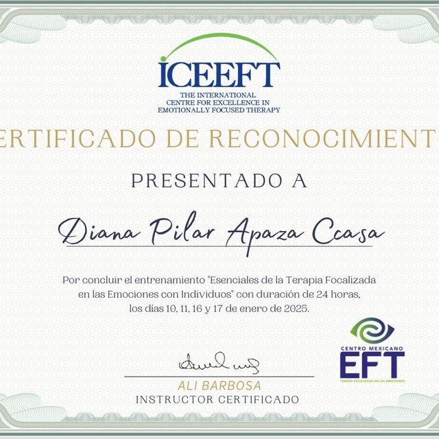 Acercar imagen: certificate 4