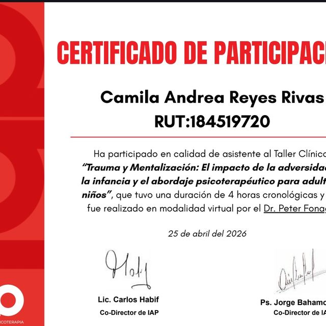 Acercar imagen: certificate 12