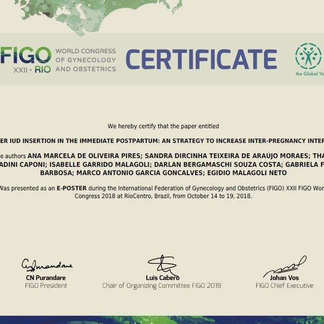 Ampliar imagem: certificate 2