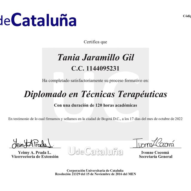 Acercar imagen: certificate 20