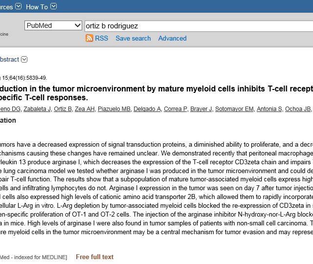 Acercar imagen: certificate 29