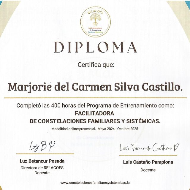 Acercar imagen: certificate 4