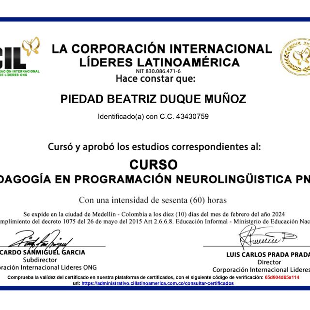Acercar imagen: certificate 6
