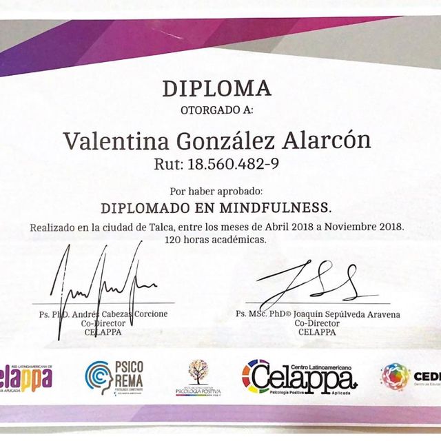 Acercar imagen: certificate 5