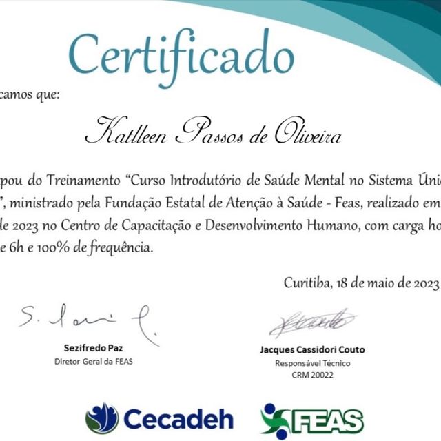 Ampliar imagem: certificate 9