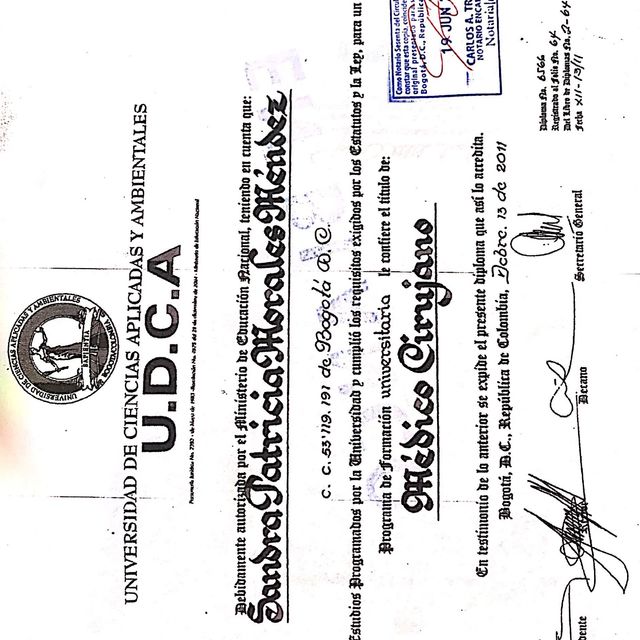 Acercar imagen: certificate 5