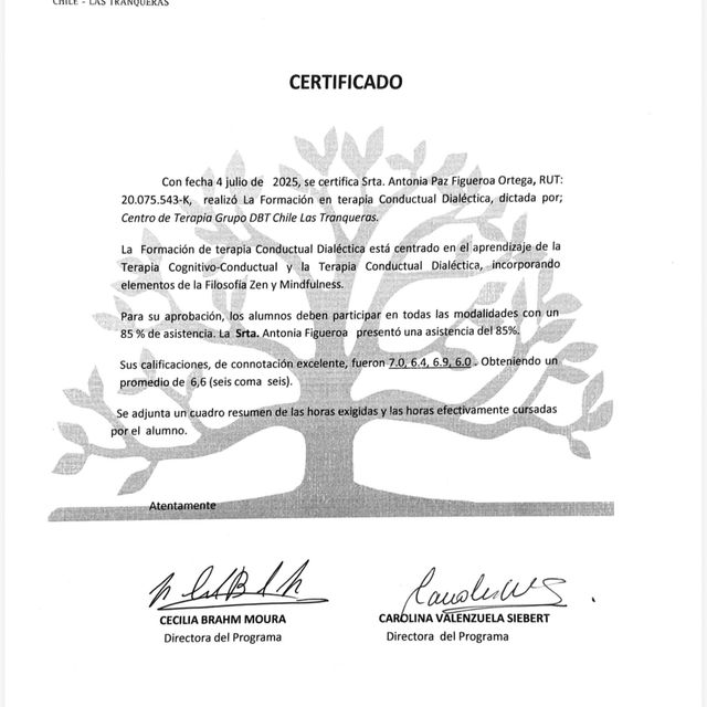 Acercar imagen: certificate 1