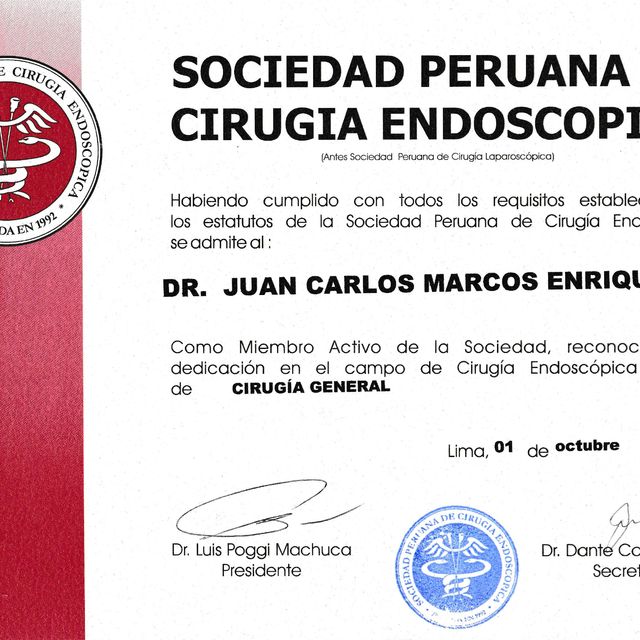 Acercar imagen: certificate 11